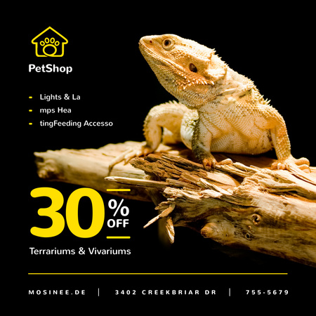 Pet Shop Offer Lizard on a Log Instagram Design Template