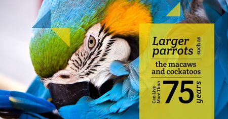 Template di design Wildlife Birds Facts with Blue Macaw Parrot Facebook AD