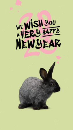 New Year Greeting with Cute Fluffy Rabbit Instagram Video Story tervezősablon