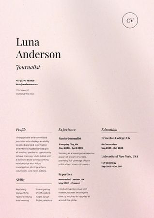 Journalist skills and experience Resume Design Template