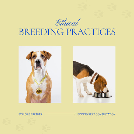 Ethical Breeding Practices Consultation With Booking Animated Post Design Template