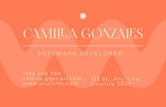 Software Developer Services Ad