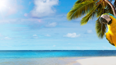 Modèle de visuel Paysage tropical avec perroquet - Zoom Background