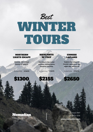 Winter Tour Offer with Snowy Mountains Poster Modelo de Design