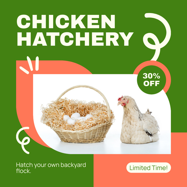 Modèle de visuel Chicken Eggs from Hatchery - Instagram AD