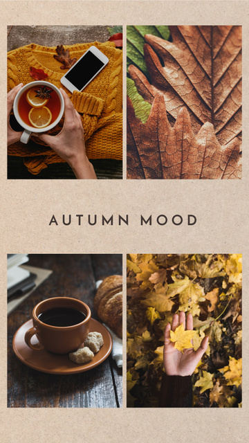 Autumn Mood Collage Instagram Story Modelo de Design