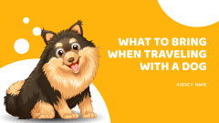 Tips for Traveling With Dog