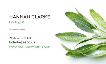 Ecologist Services with Healthy Green Herb Business Card 91x55mm Design Template