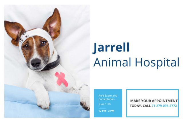 Dog in Animal Hospital Gift Certificate Tasarım Şablonu