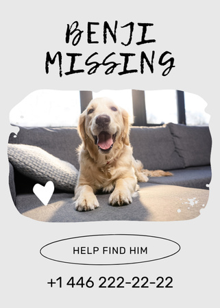 Grey Announcement about Missing Dog Flayer Modelo de Design