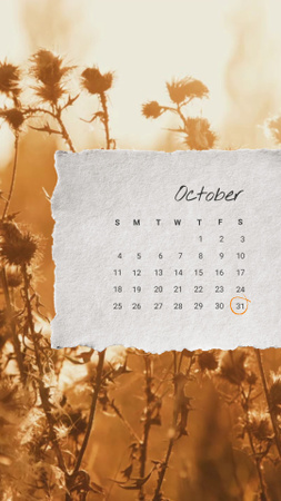 Autumn Inspiration with Dried Flowers Instagram Video Story Design Template