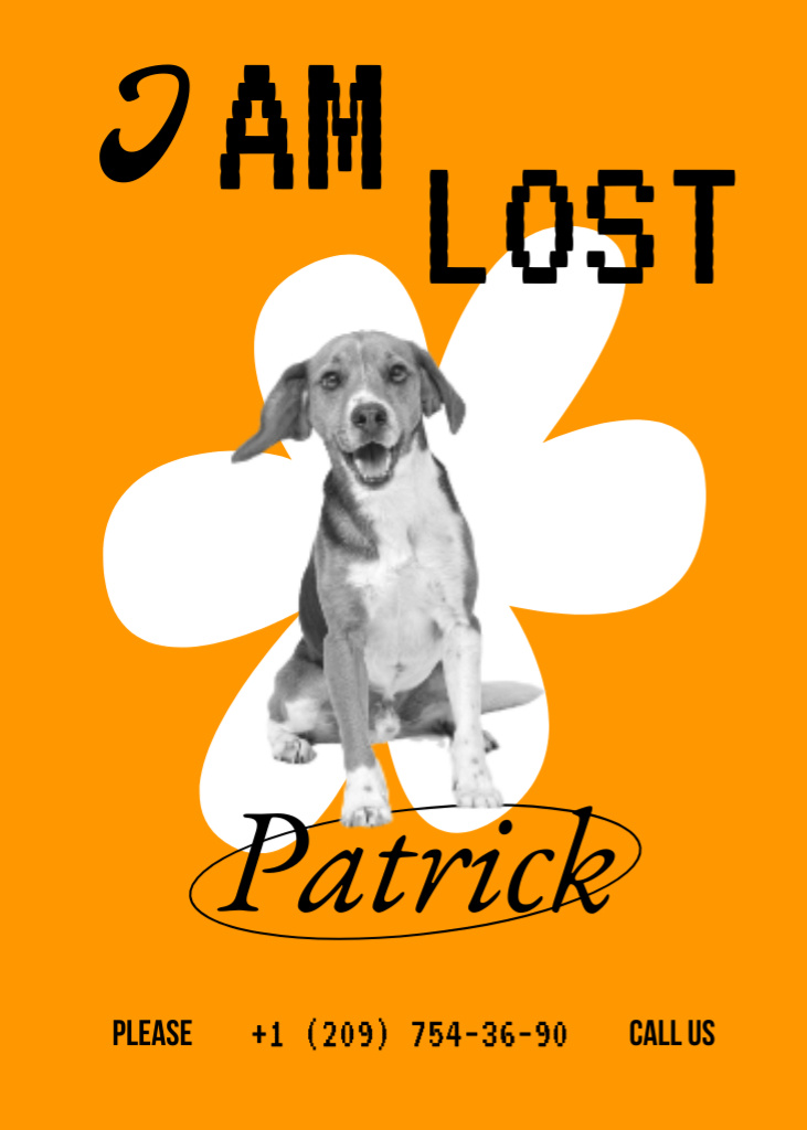 Platilla de diseño Announcement about Lost Dog Flayer