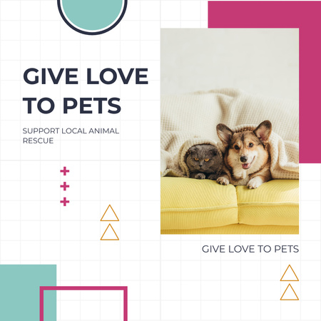 Inspiroiva lause koiran ja kissan kanssa Instagram Design Template