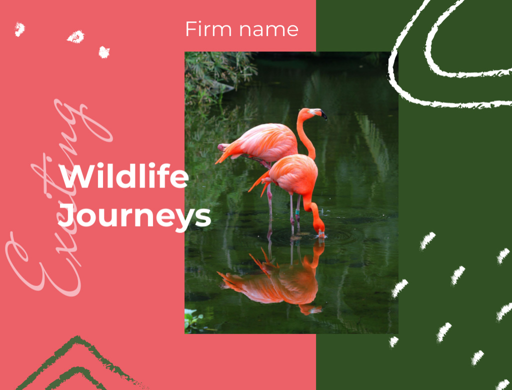 Pink Flamingos In Water And Wildlife Tours Promotion Postcard 4.2x5.5in Πρότυπο σχεδίασης