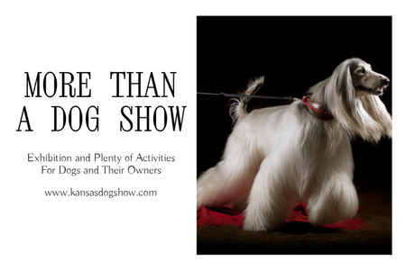 Dog Show Ad with Afghan Hound Dog Flyer 4x6in Horizontal – шаблон для дизайна