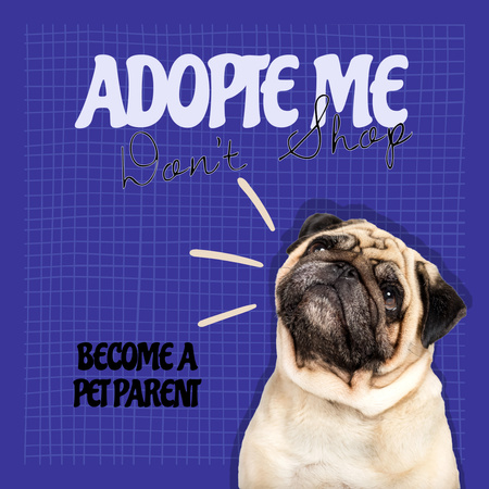 Pets Adoption Club Ad Instagram Design Template