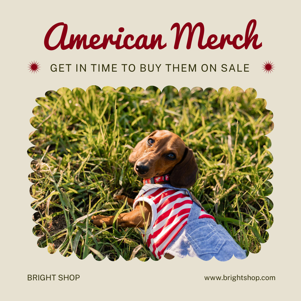 Modèle de visuel Mega Sale of American Patriotic Merch - Instagram