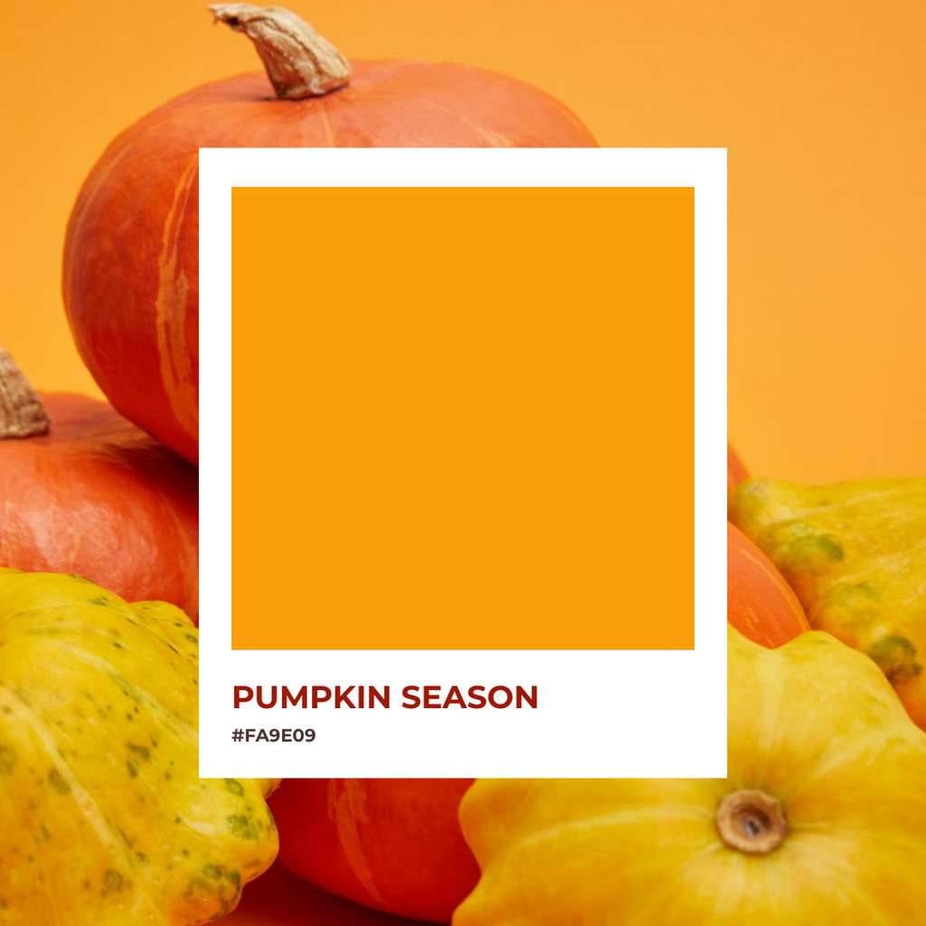 Autumn Inspiration with Ripe Pumpkins And Color Instagramデザインテンプレート