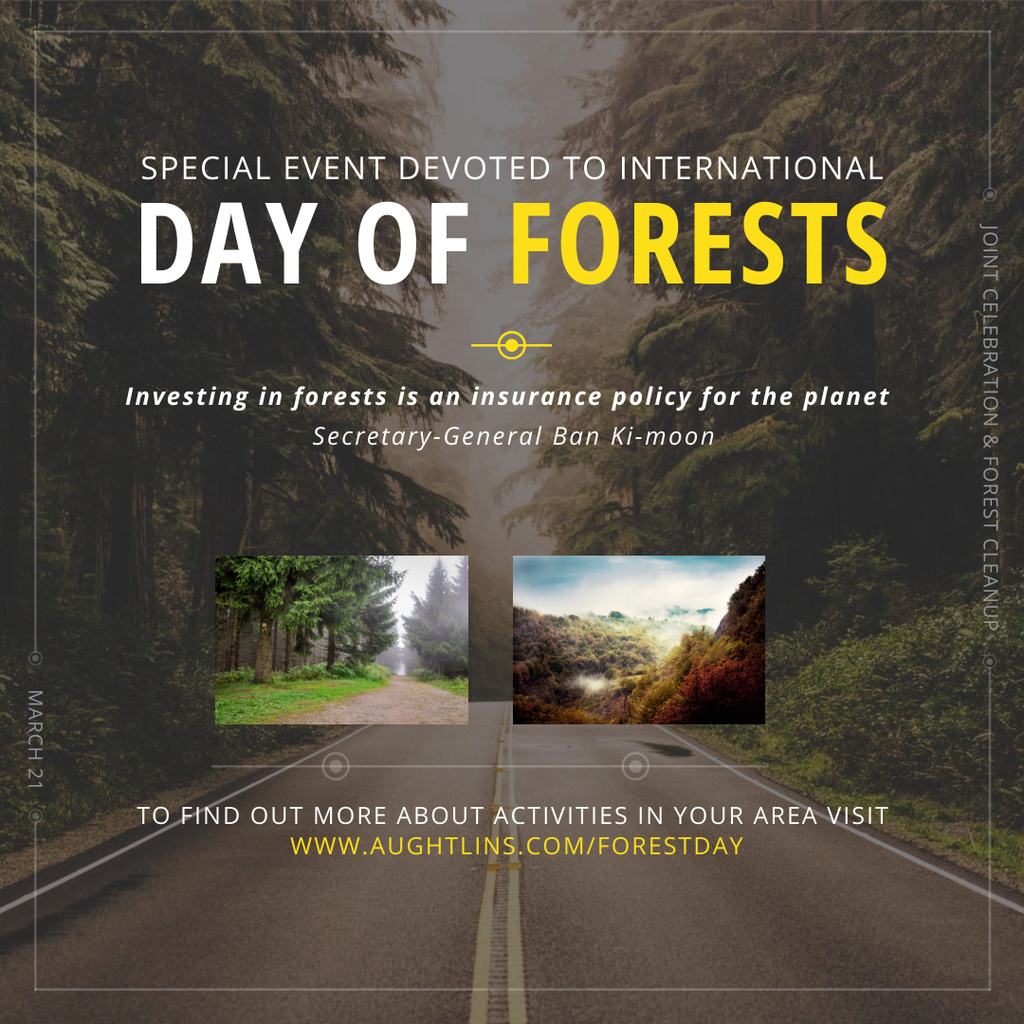 Template di design International Day of Forests Event Forest Road View Instagram AD