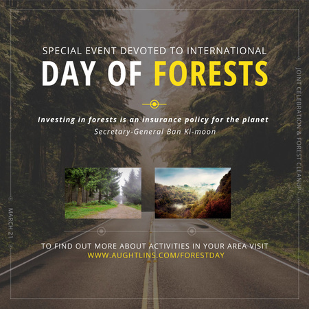 Szablon projektu Międzynarodowy Dzień Lasów Widok drogi leśnej Instagram AD