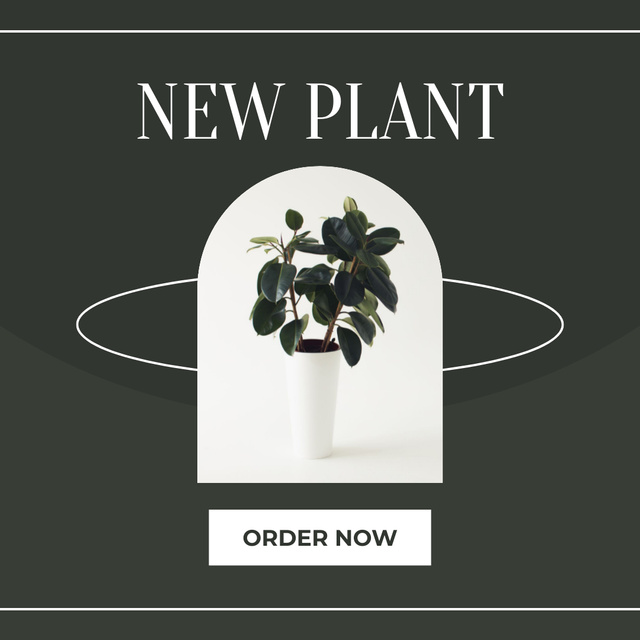 Designvorlage New Decorative Plant for Home für Instagram