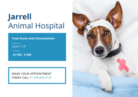 Animal Hospital Ad with Sick Dog with Bandages on His Head Lying on Bed Flyer A5 Horizontal Šablona návrhu