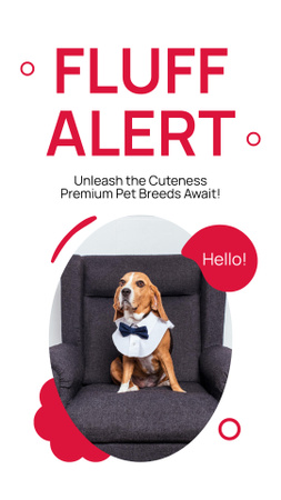 Plantilla de diseño de Alerta de pelusa con una raza de perro elegante Instagram Story 