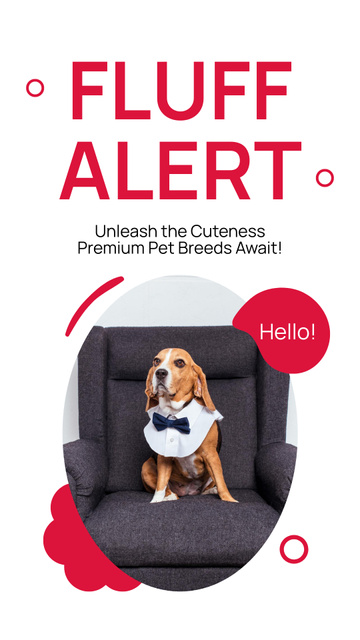Designvorlage Fluff Alert With Elegant Dog Breed für Instagram Story