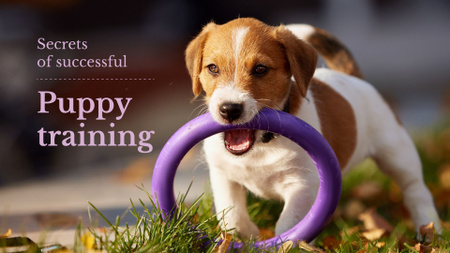 Secrets of Successful Puppy Training with Dog with Toys Presentation Wide Design Template