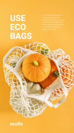 Fresh Vegetables in Net Bag Instagram Story Design Template
