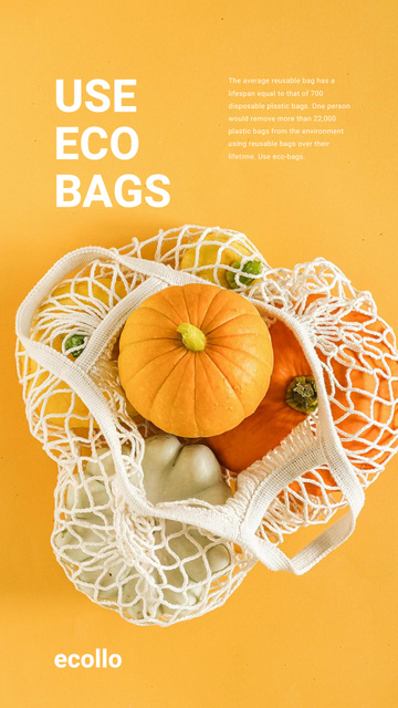 Fresh Vegetables in Net Bag Instagram Story – шаблон для дизайна