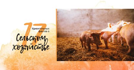 Little pigs on farm Facebook AD – шаблон для дизайна