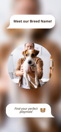 Promoção da raça Jack Russell Terrier Snapchat Moment Filter Modelo de Design