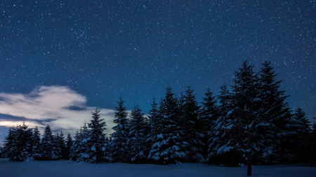 星空の冬の夜に雪に覆われた森 Zoom Backgroundデザインテンプレート