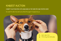Charity Auction for Animals Announcement in Green