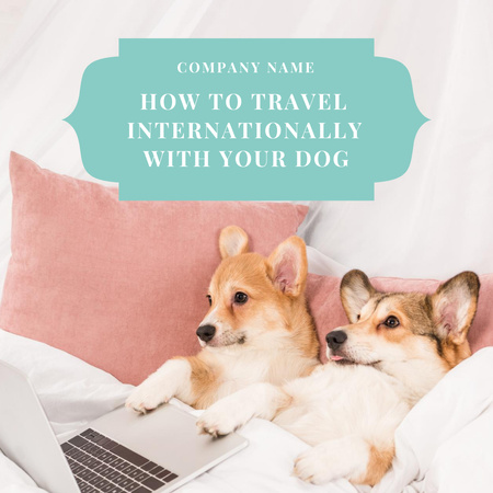 Plantilla de diseño de Couple of Dogs Watching Laptop In Bed Animated Post 