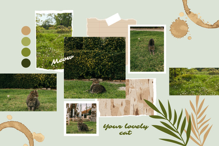 Lovely Cat Having Time Outdoors Mood Board Design Template
