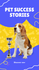 Heartwarming Pet Success Stories Promotion