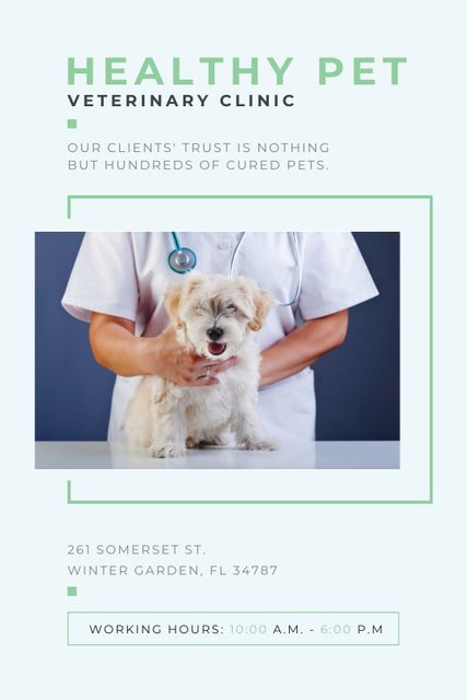 Plantilla de diseño de Doctor is Holding Dog in Vet Hospital Tumblr 