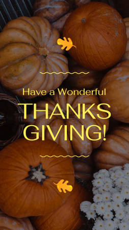 Lots Of Pumpkins And Thanksgiving Day Greeting Instagram Video Story Design Template