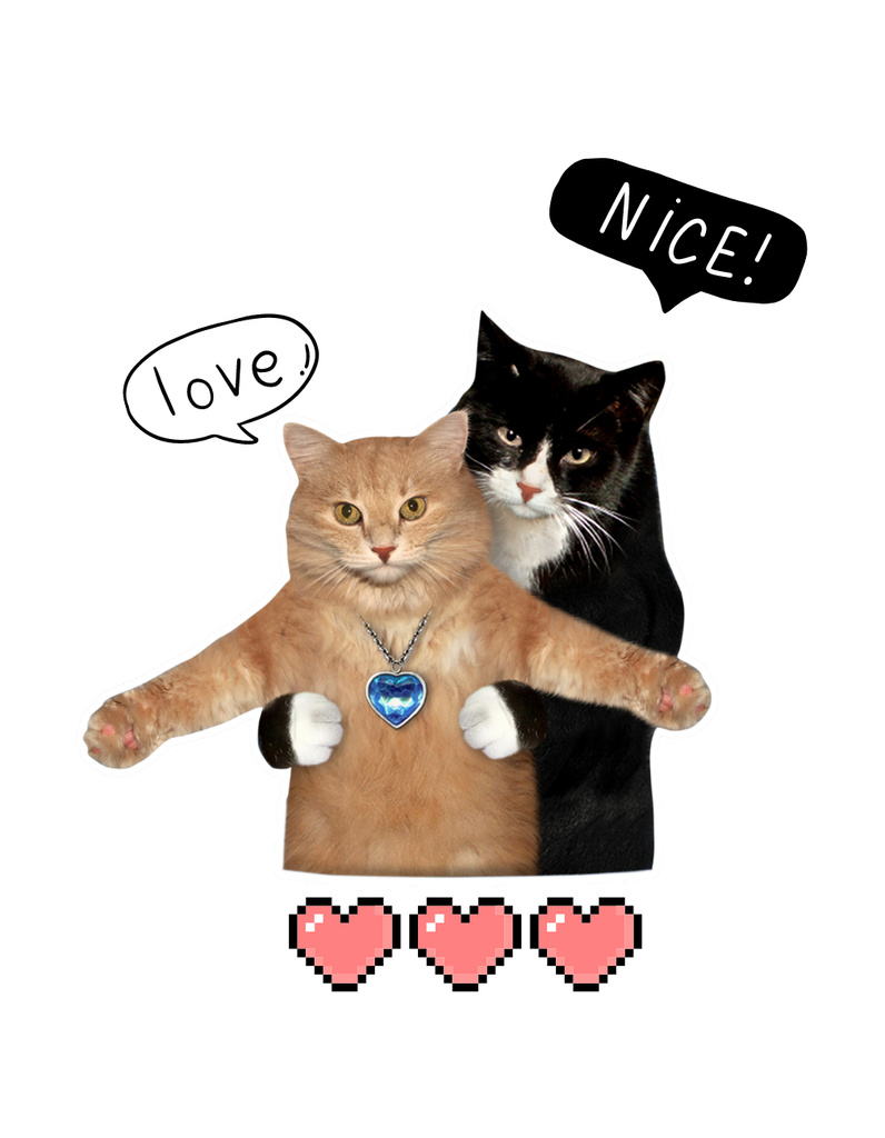 Funny Cute Cats T-Shirt – шаблон для дизайна