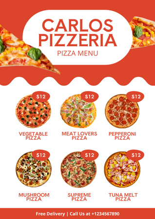 Offer of Different Types of Pizza in Pizzeria Menu Design Template
