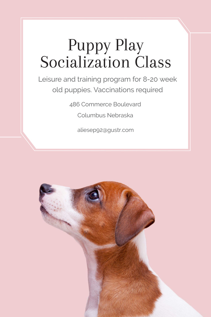 Plantilla de diseño de Puppy play socialization class Pinterest 