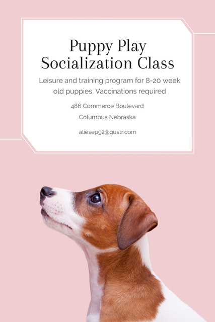 Ontwerpsjabloon van Pinterest van Puppy play socialization class