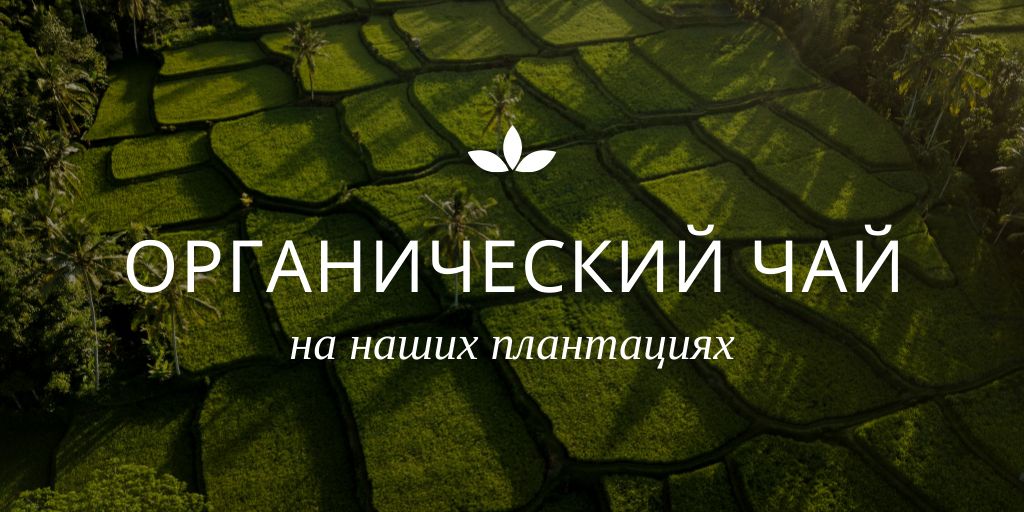 Organic Plantation Tea Twitter Design Template