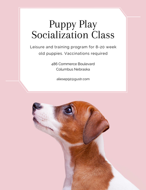Puppy Socialization Lessons And Training Program with Cute Dog Flyer 8.5x11in – шаблон для дизайна