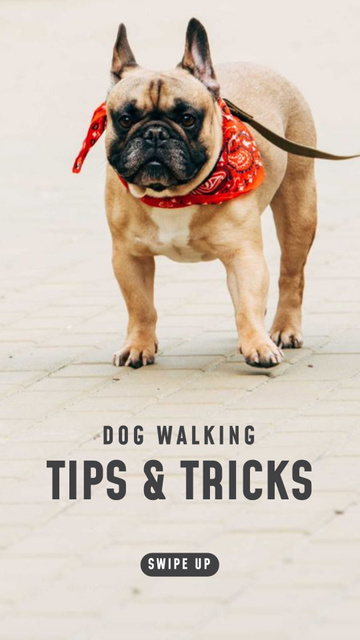 Dog Walking Ad with Cute Bulldog Instagram Story Tasarım Şablonu