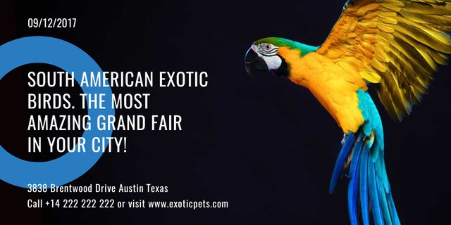 Exotic Birds Shop Ad with Flying Parrot Twitter tervezősablon