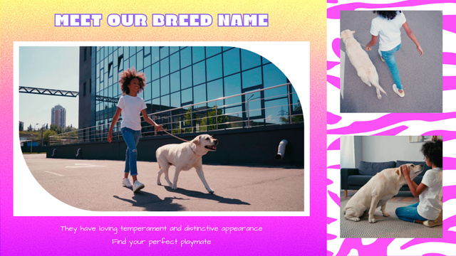 Designvorlage Pet Breeder Introducing New Dog Breed für Full HD video