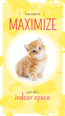 симпатичный рыжий котенок по кругу Instagram Story – шаблон для дизайна